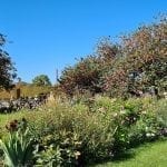 gardens with the eiffel tower in the background