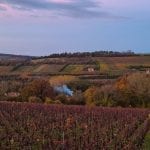 smoke rising in the middle of a landscape with dying grape vines at sunset