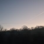 early morning sky before sunrise, tree line