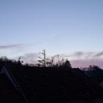 sunrise with trees and house roofs silhouetted