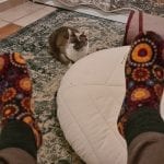 some ugly socks on feet, in the background a grey and white cat