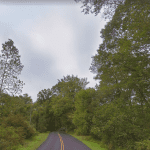 google maps street view of a 2 lane street surrounded by trees