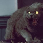 The grey cat in Pet Semetary (1989)