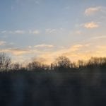 a treeline and roof at sunrise