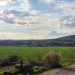 a blue sky with clouds over green feilds with a dirt road