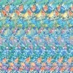 a magic eye poster (it's fish)