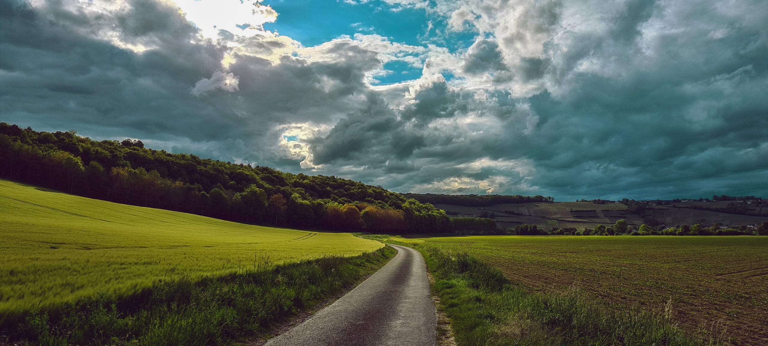 a narrow road through farming fields, trees and a cloudy blue sky