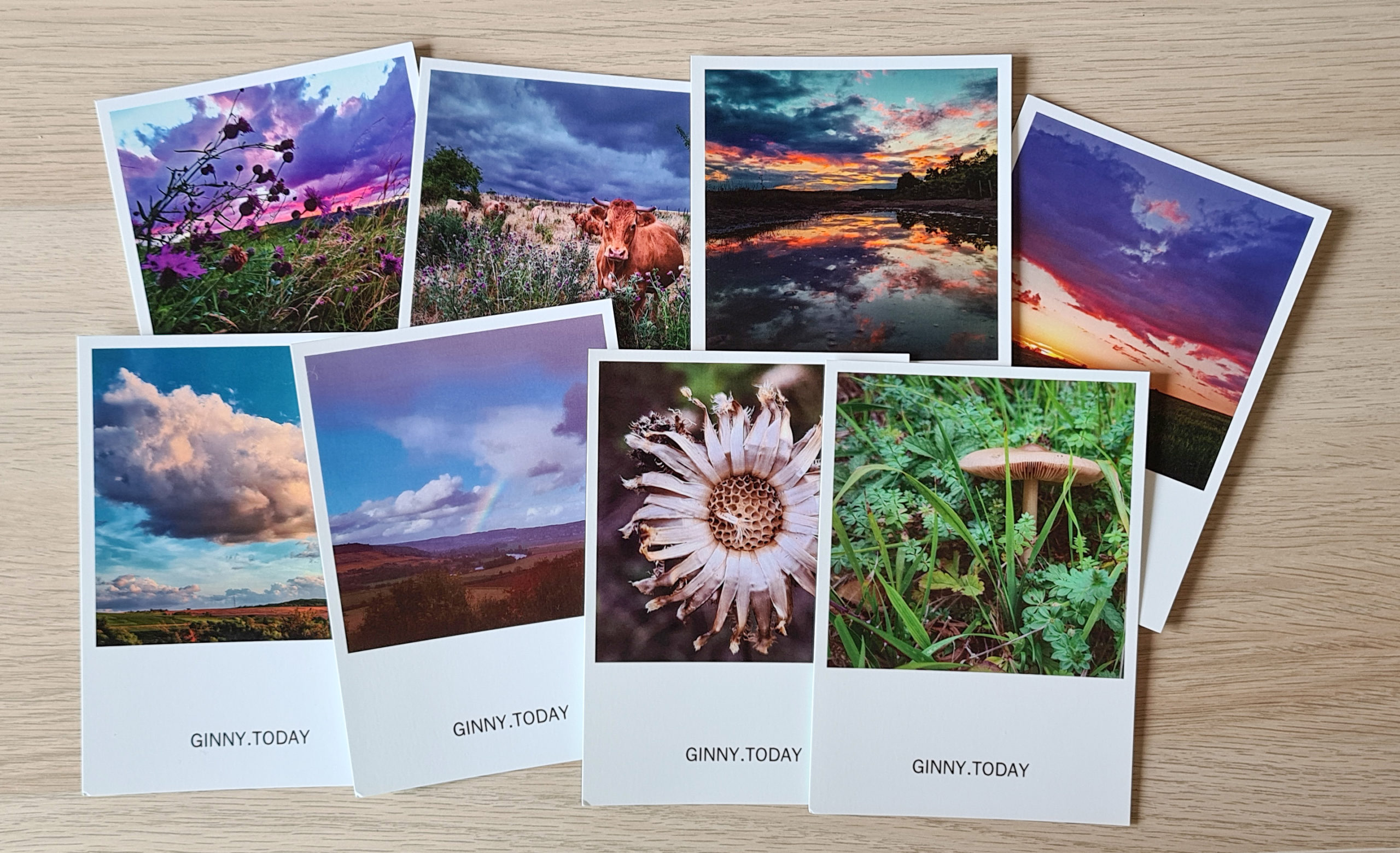 8 postcards that look like polaroids, each with colorful nature photos on them, and text that says "Ginny.Today"