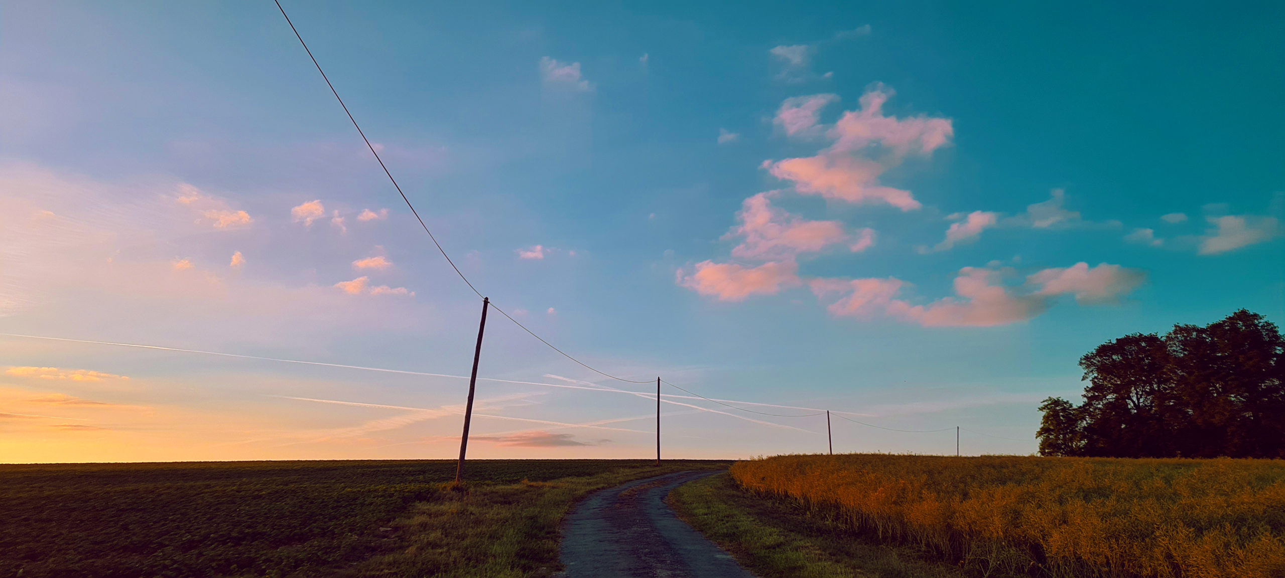 sunset on a farm road with telephone poles on one side