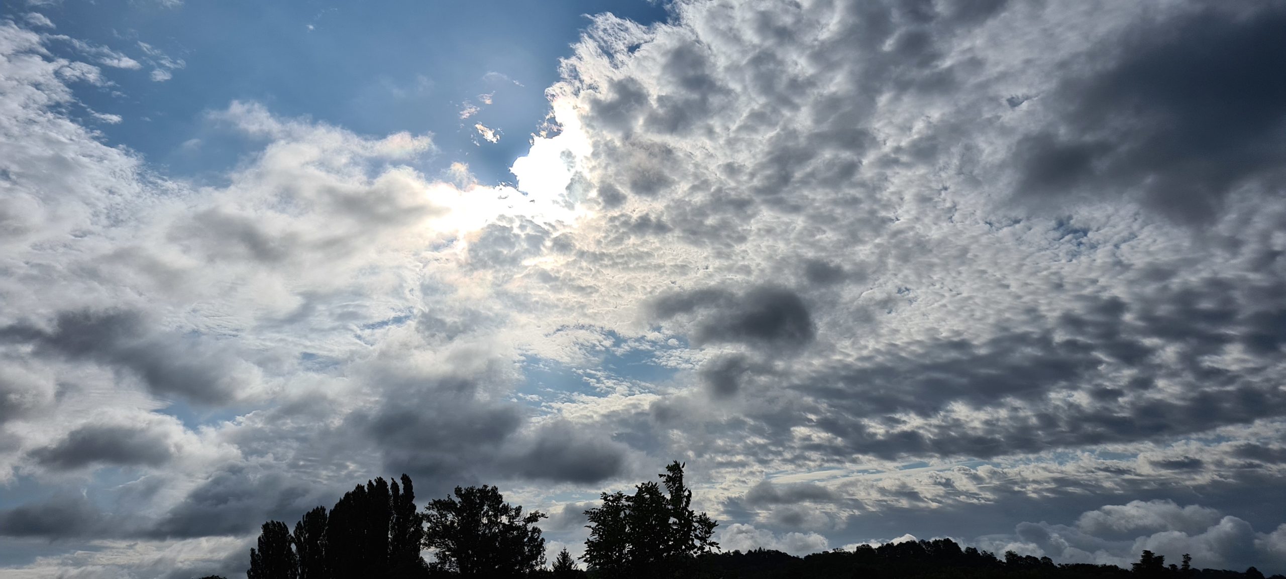 sun behind clouds, some trees backlit in the foreground