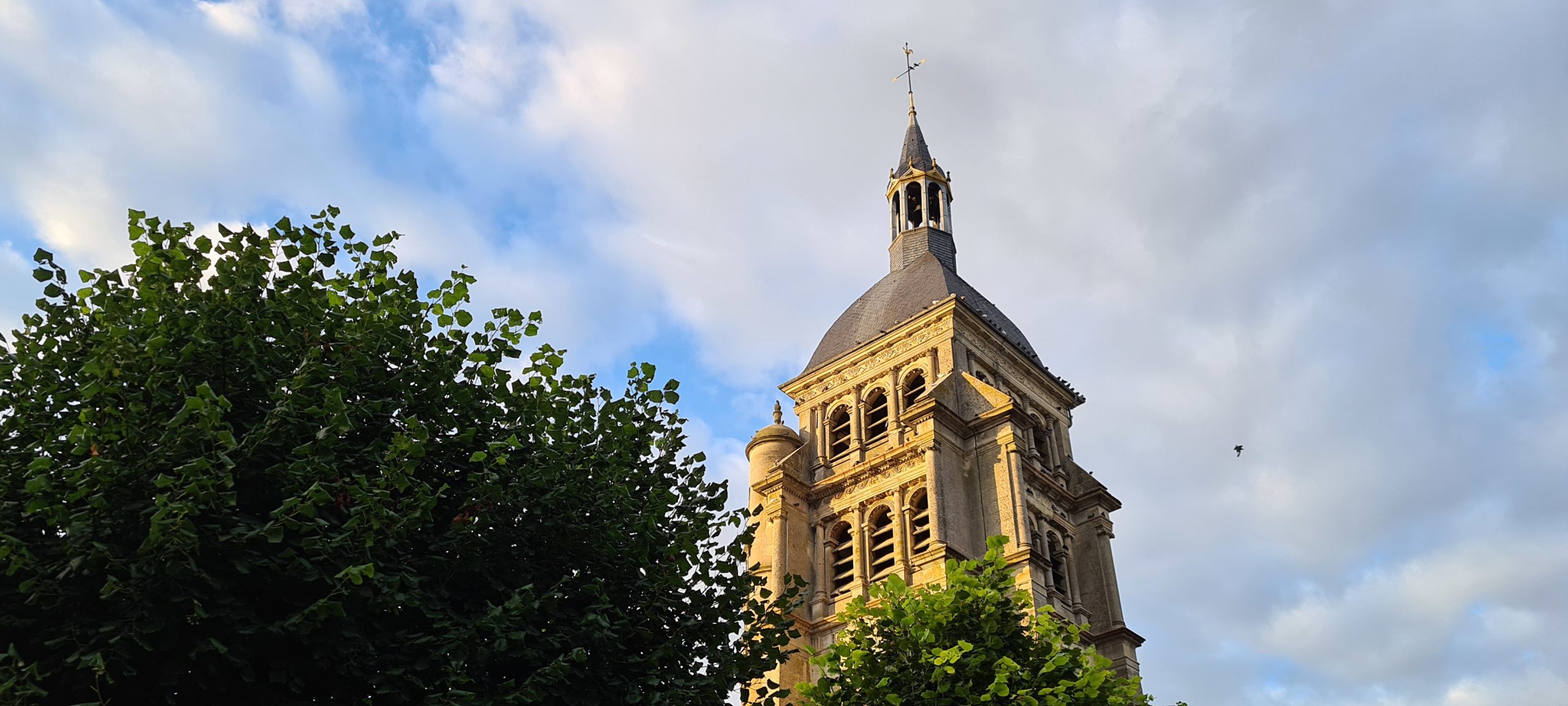 a church steeple behind a tree