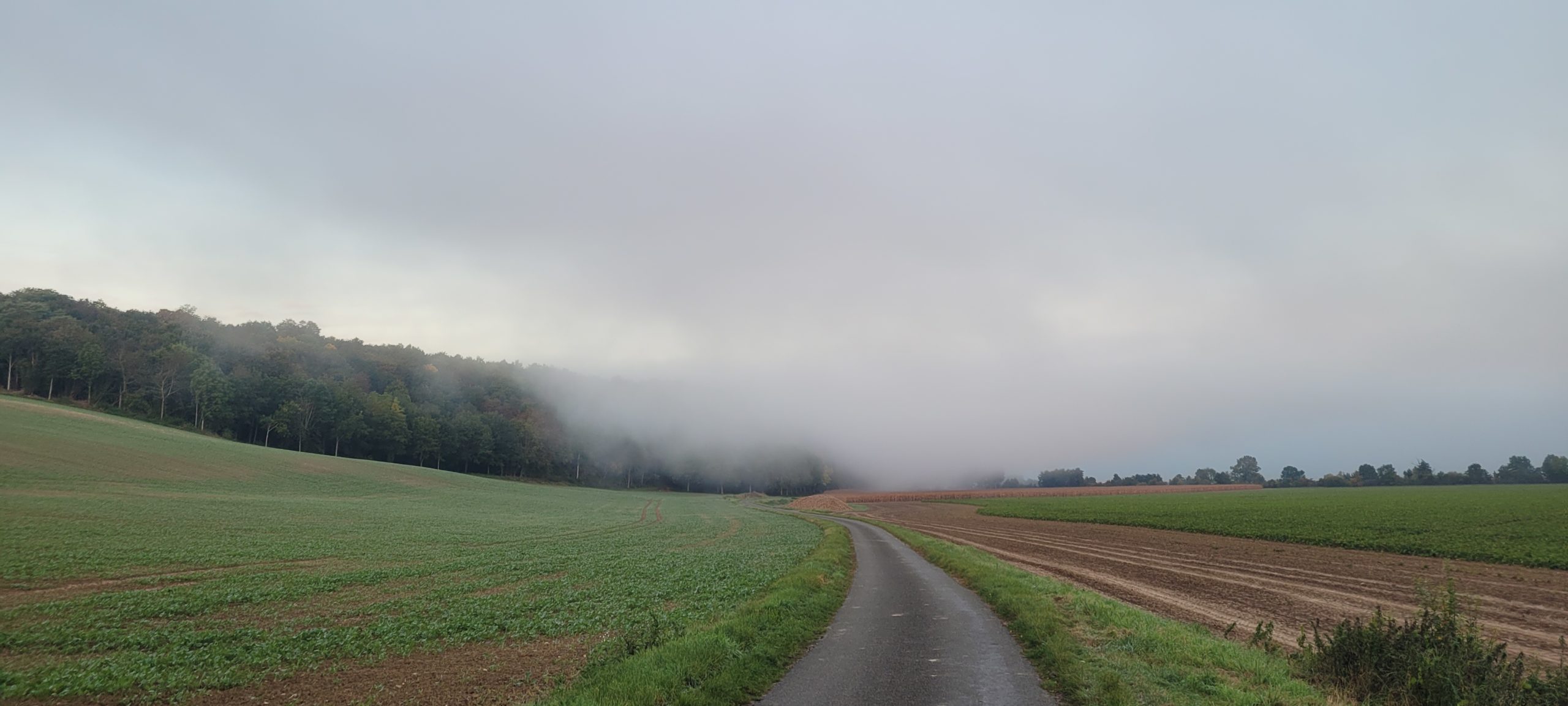 fog rolling through a valley