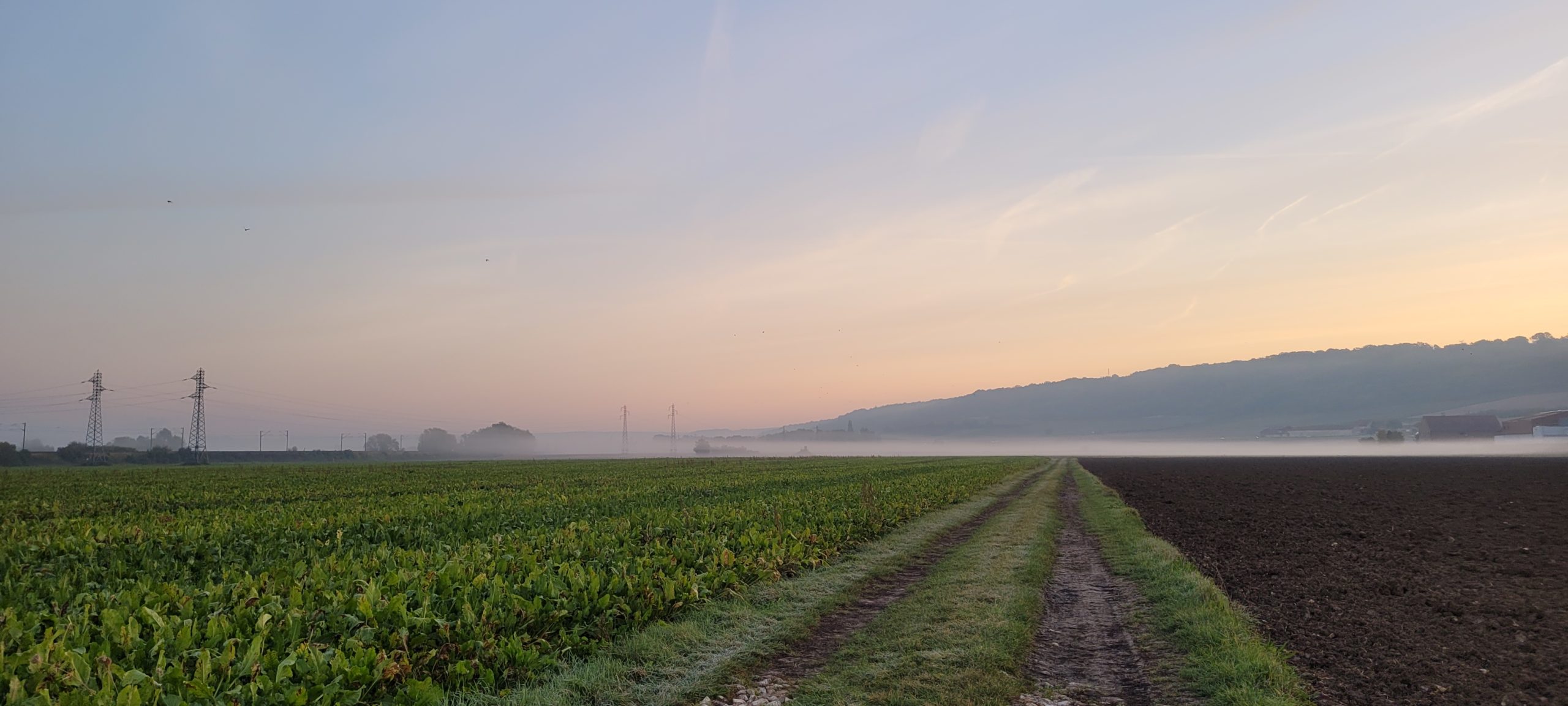 misty sunrise over farmland