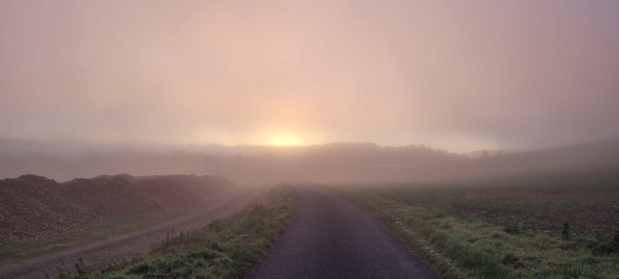 sunrise through fog