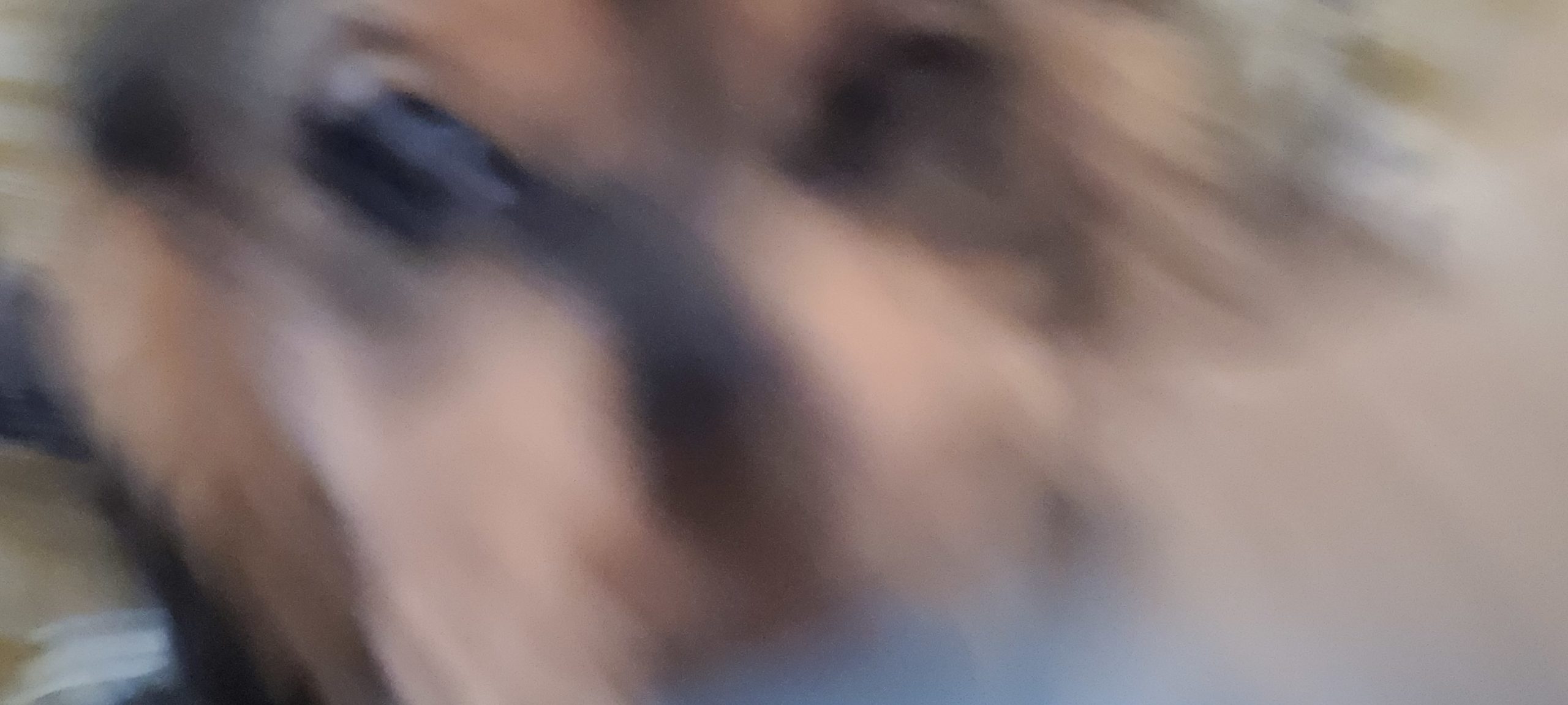 blurry photo of puppy up close in motion