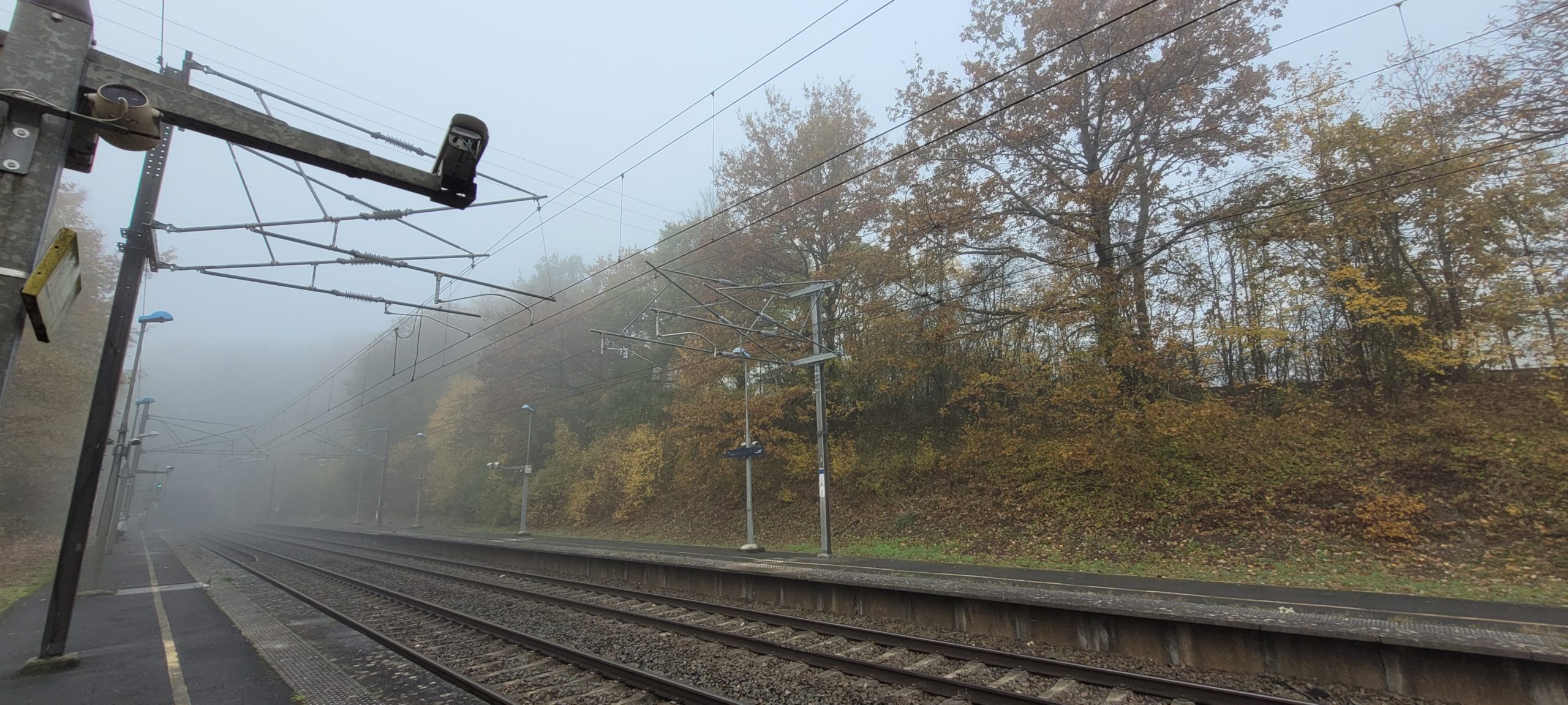 train tracks and autumn trees on a foggy morning