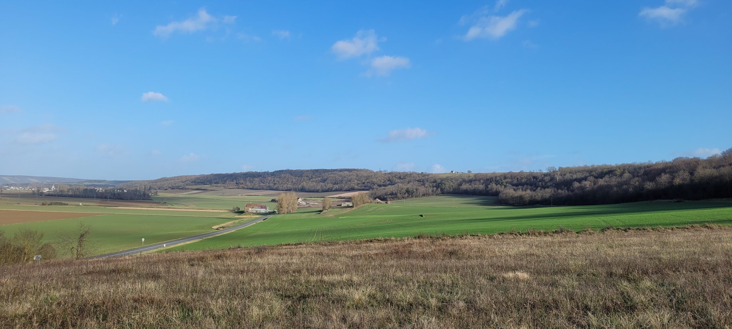 countryside with blue sky