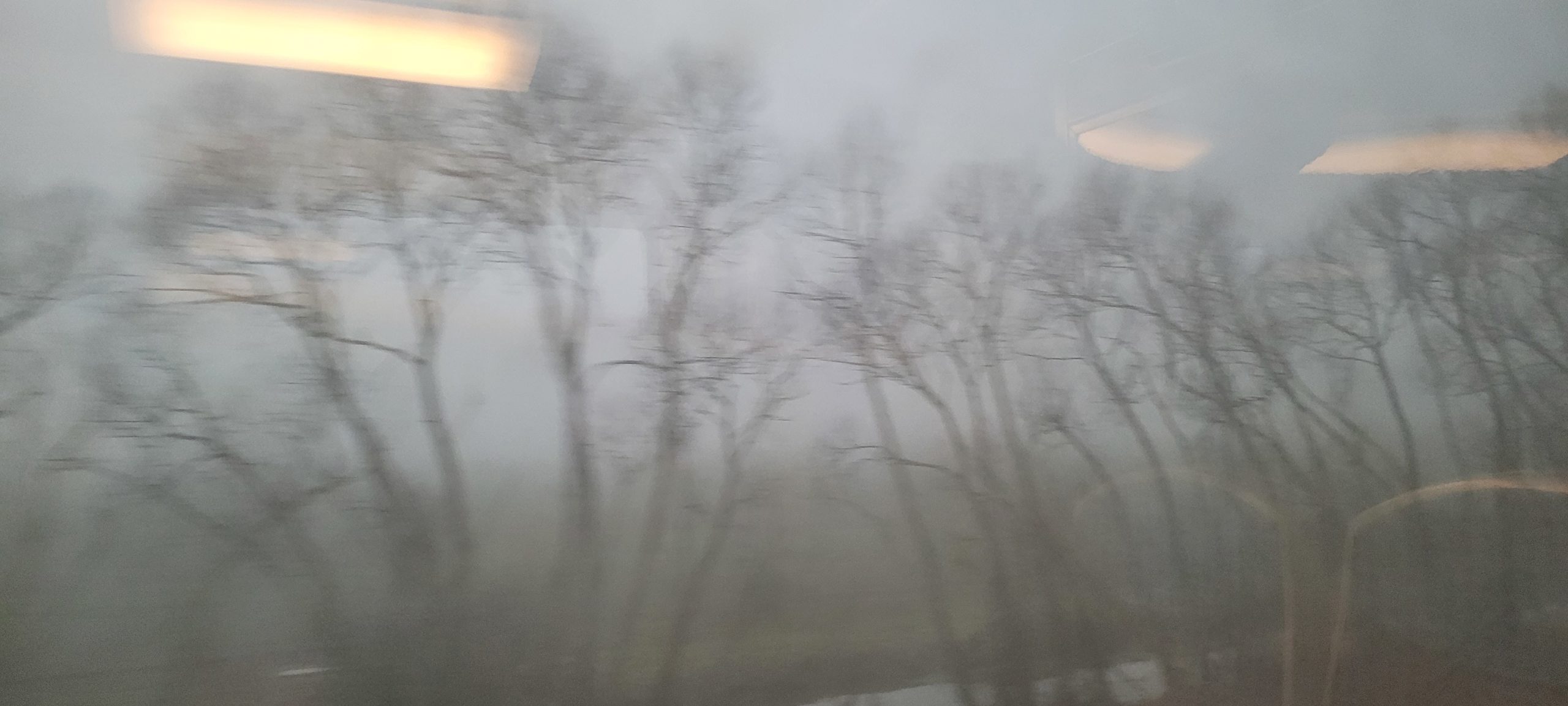 grey, foggy winter scene outside a train window