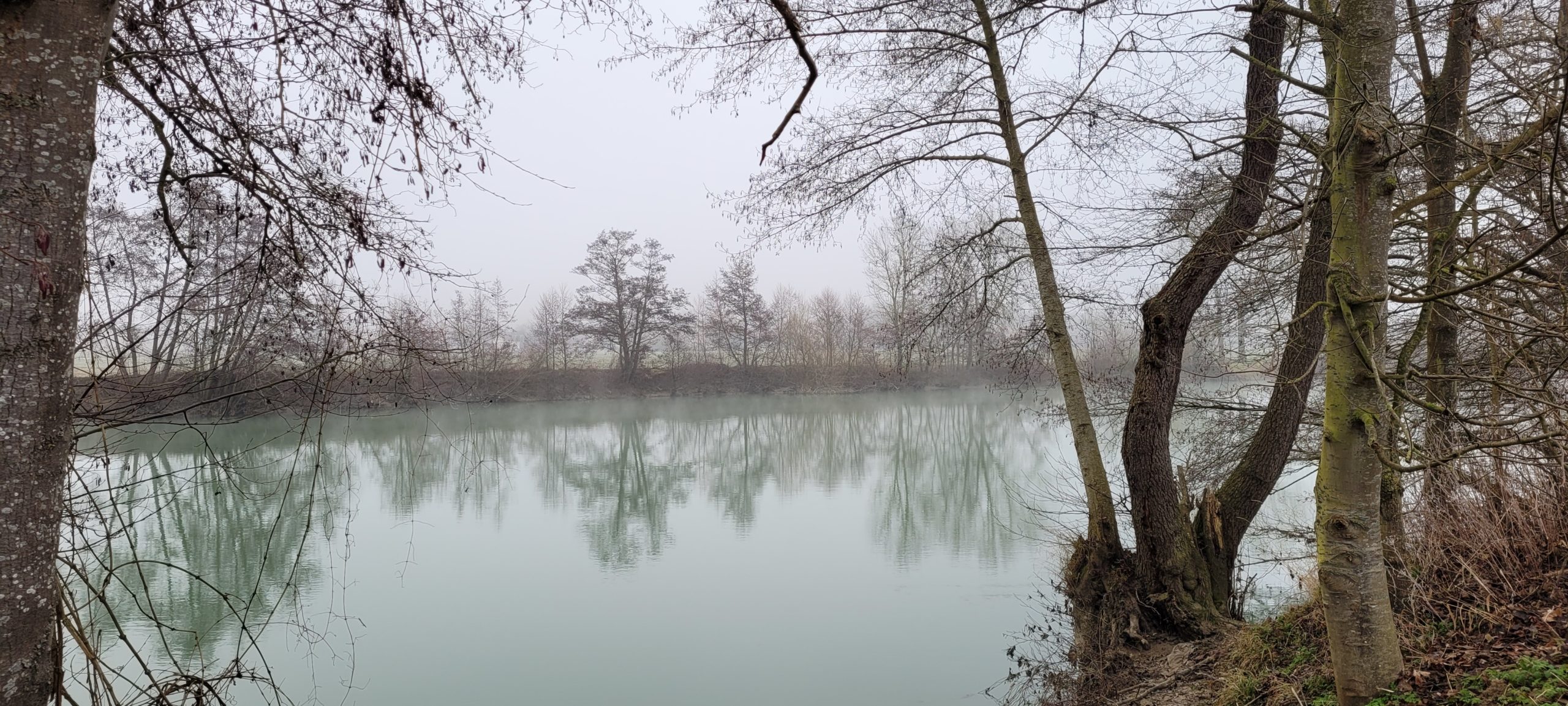 a river on a winter foggy day