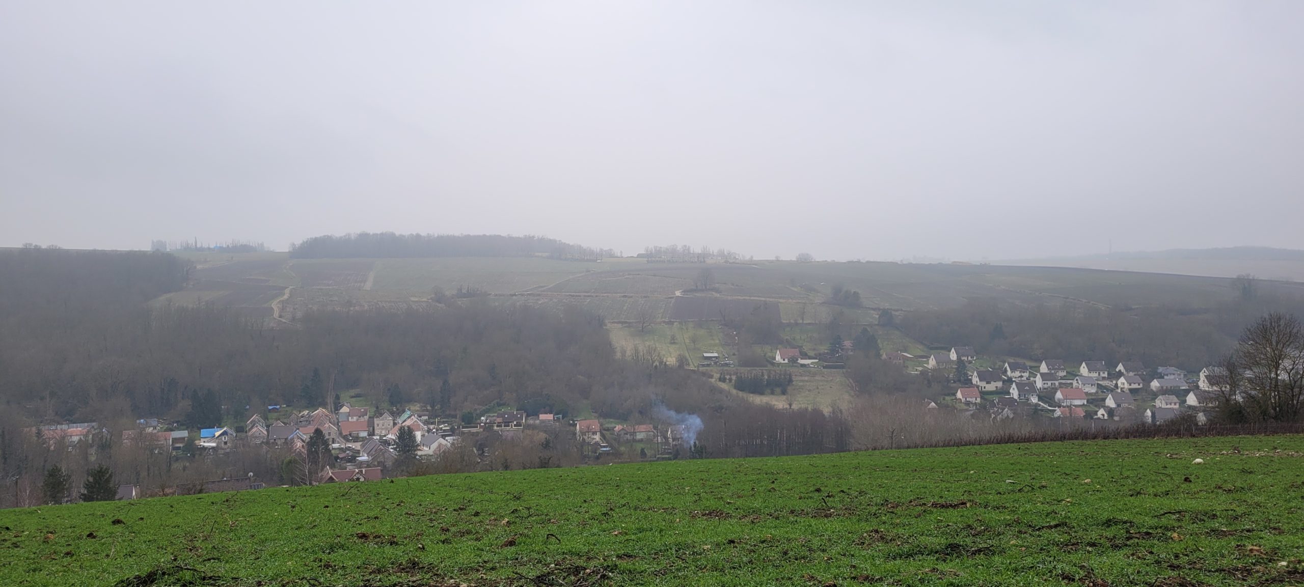 a foggy day in the french countryside