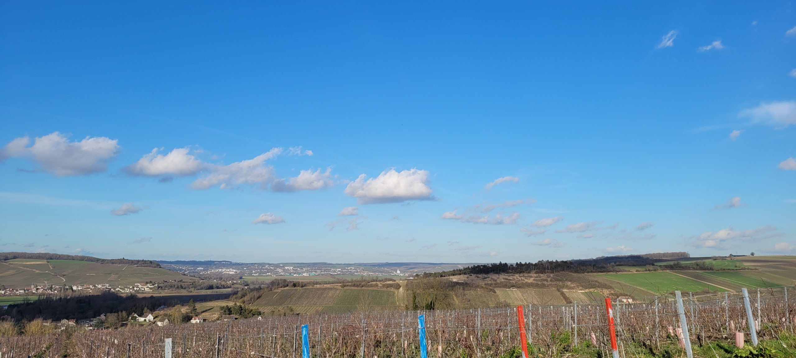 vineyards on the hills with a blue sky