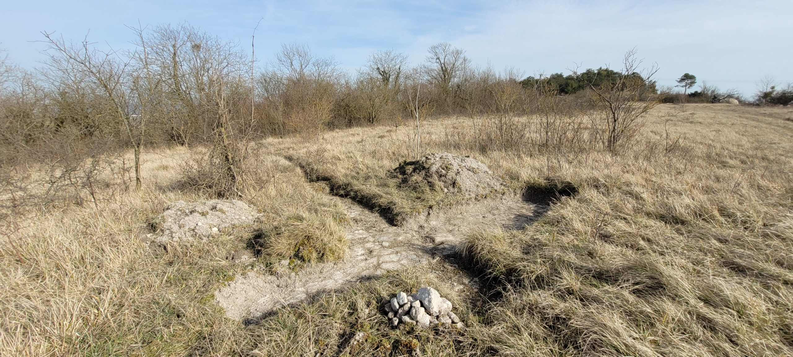 part of a grassy hill that has been dug up to expose stonework underneath