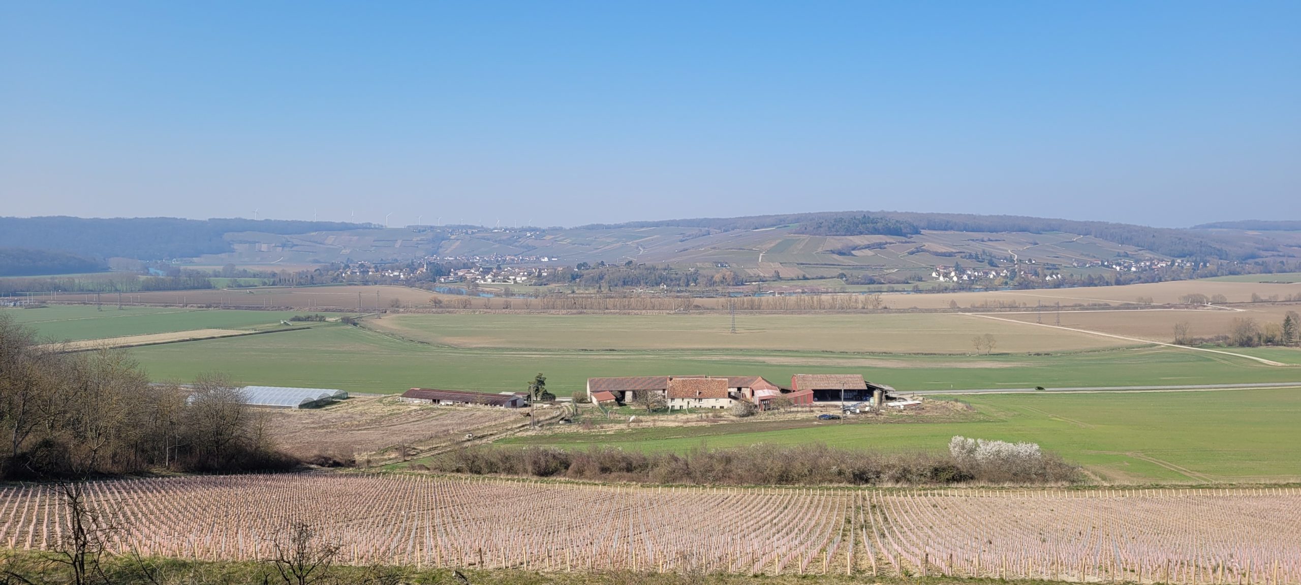 farm landscape