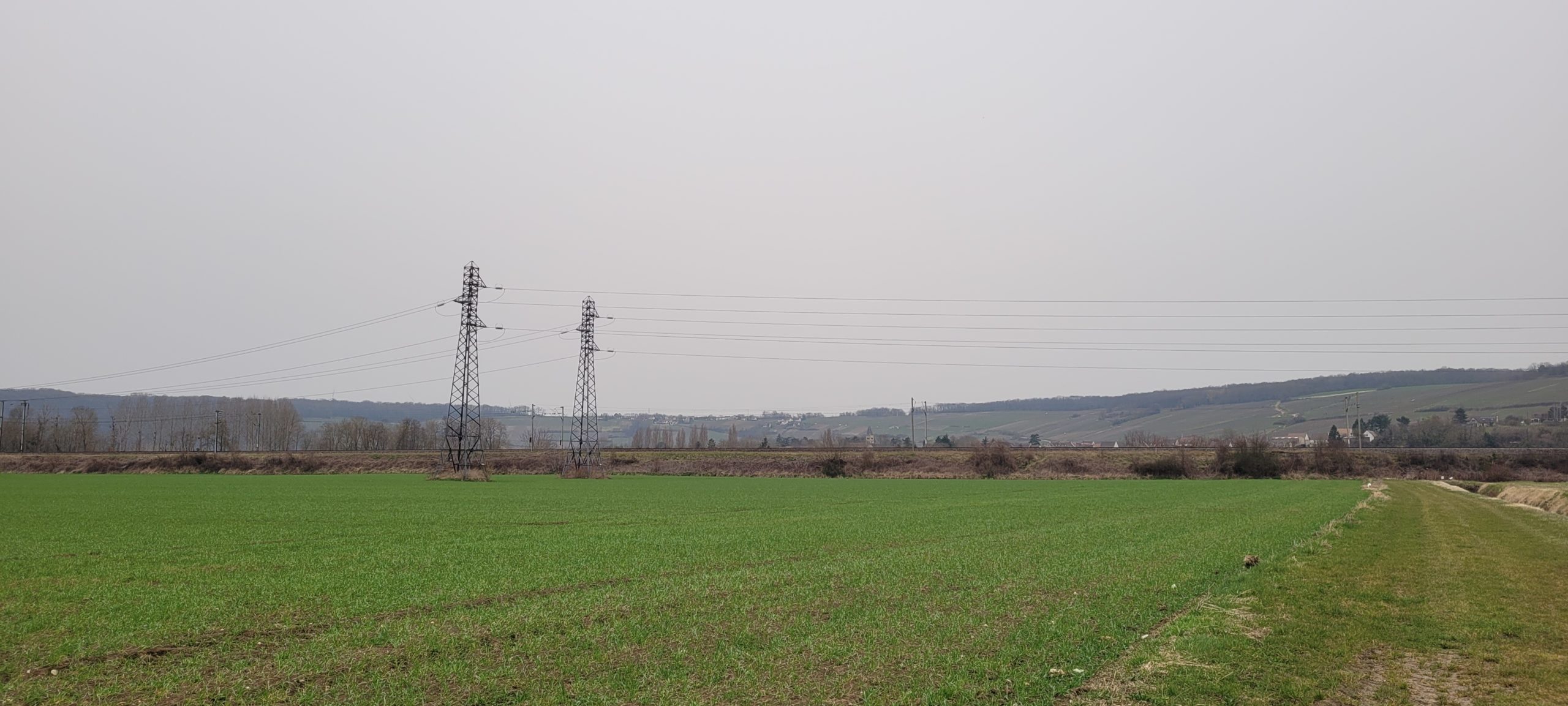 a grey hazy sky, power lines over farmland