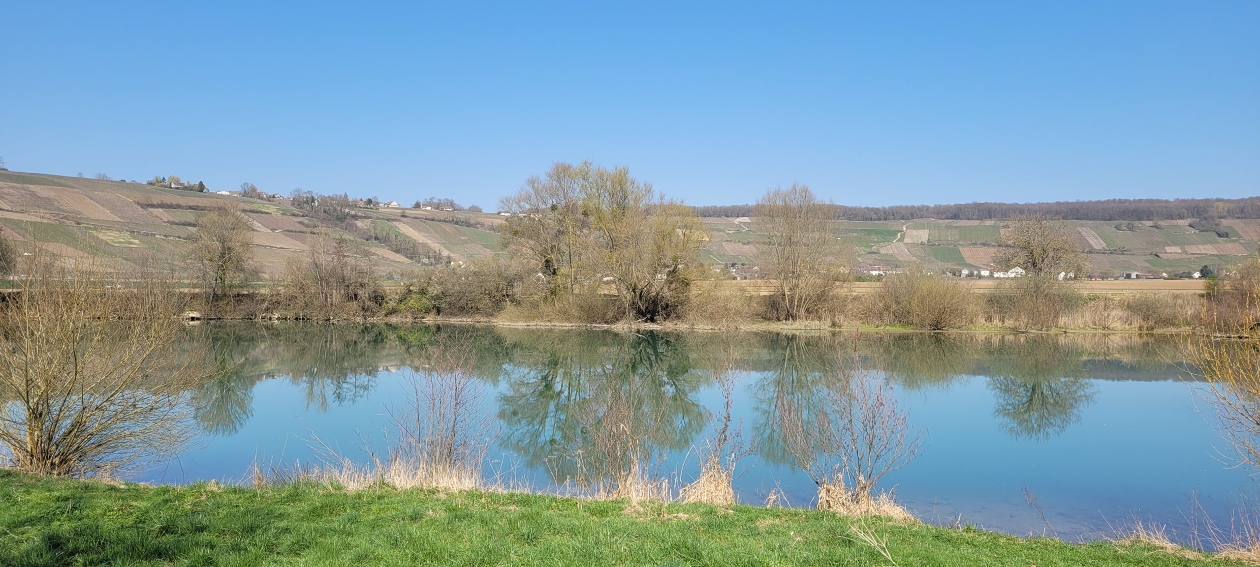 a river reflectin g blue sky