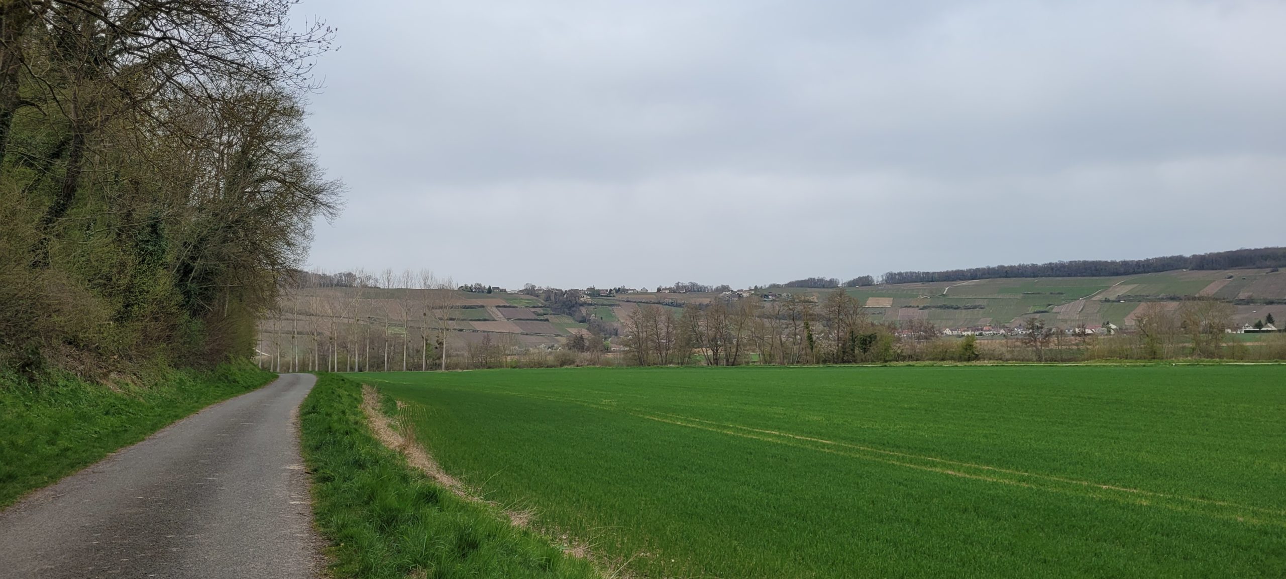 grey sky over French farm land