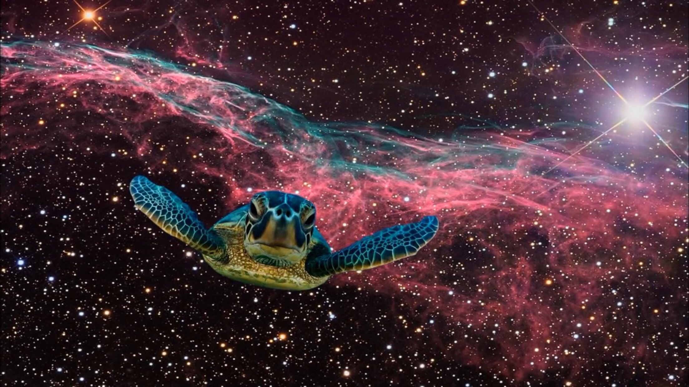 a sea turtle photoshopped onto a photo of a galaxy in space