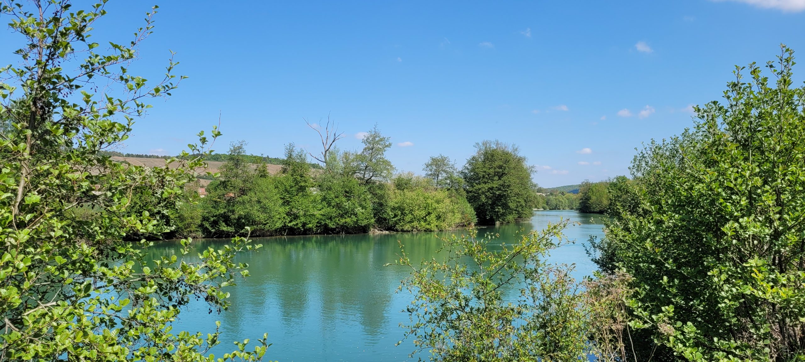 a river lined with trees, blue sky above