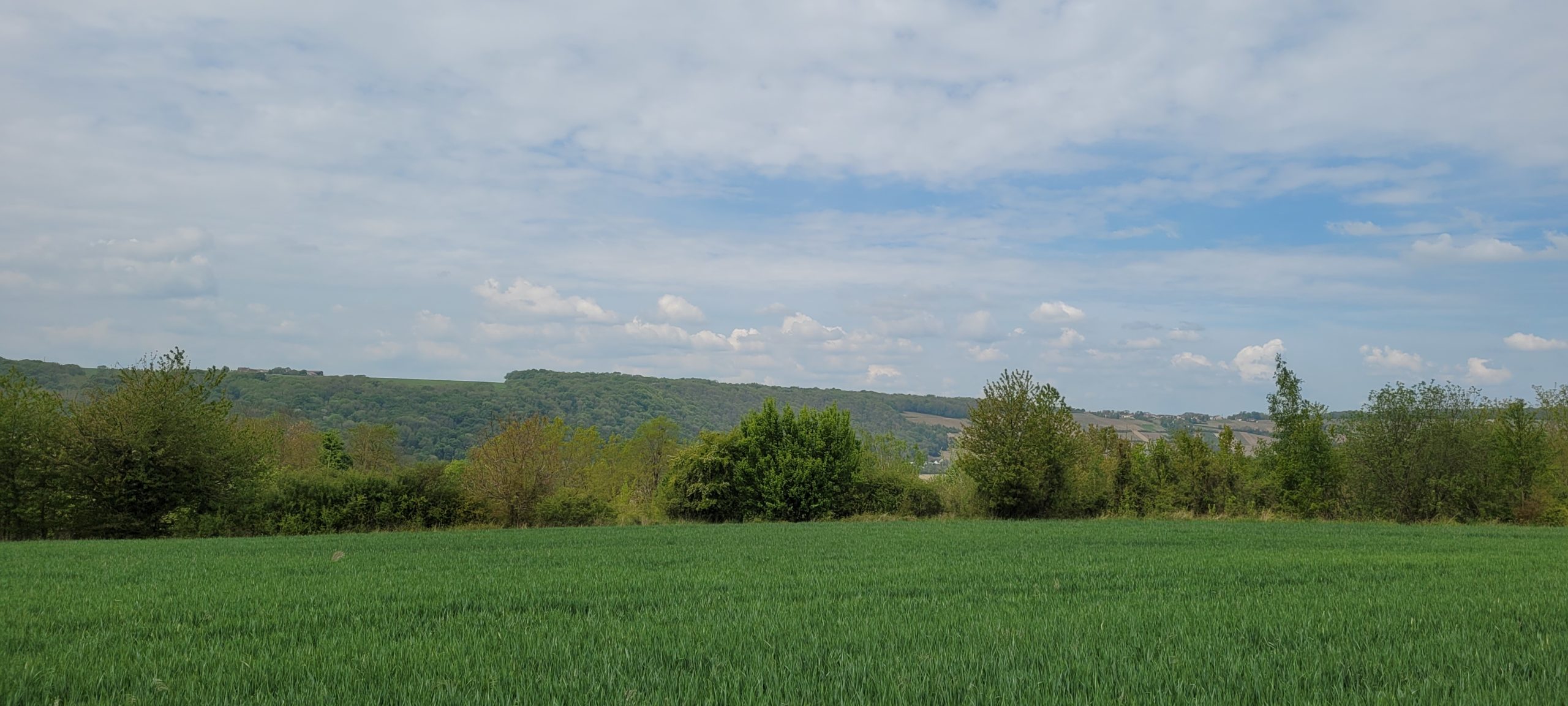 green countryside