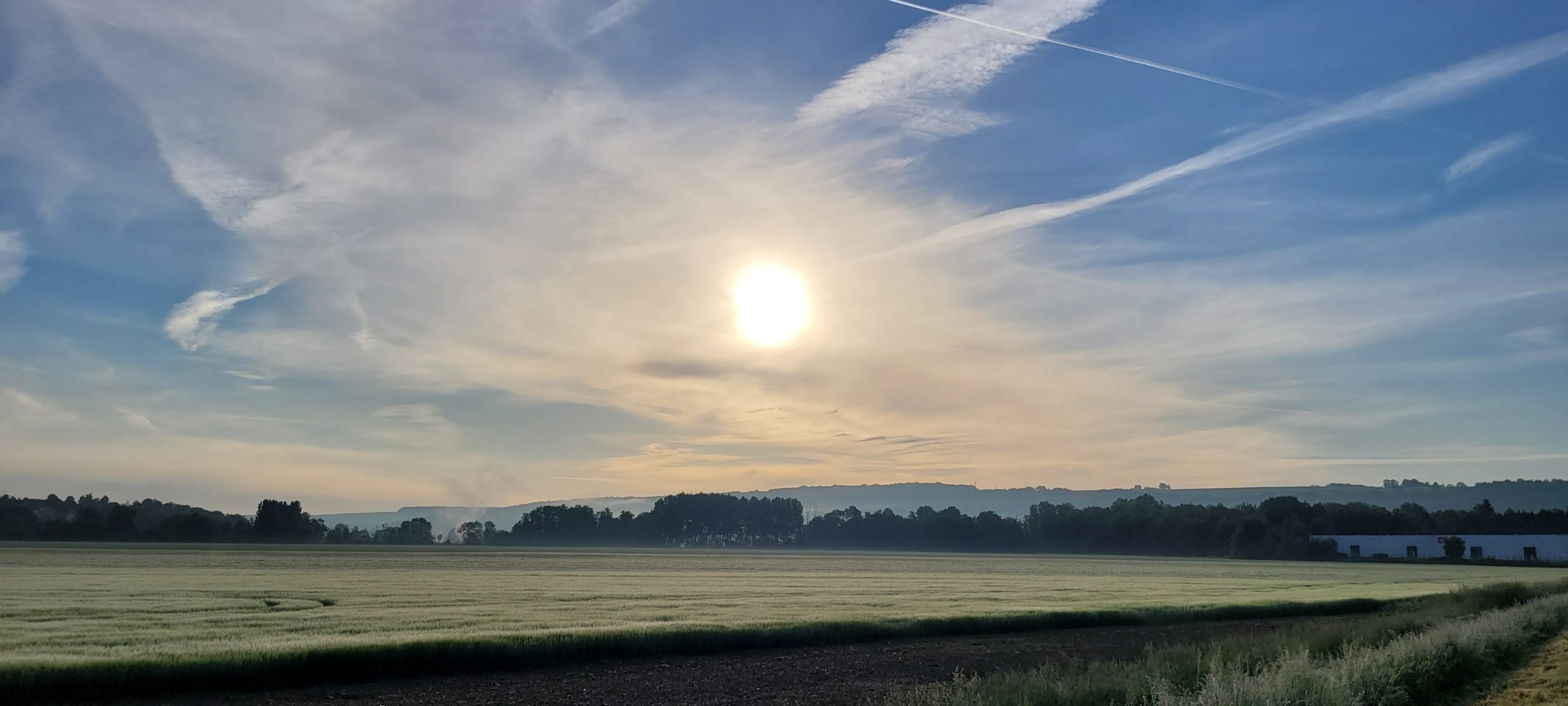 sunrise over farmland