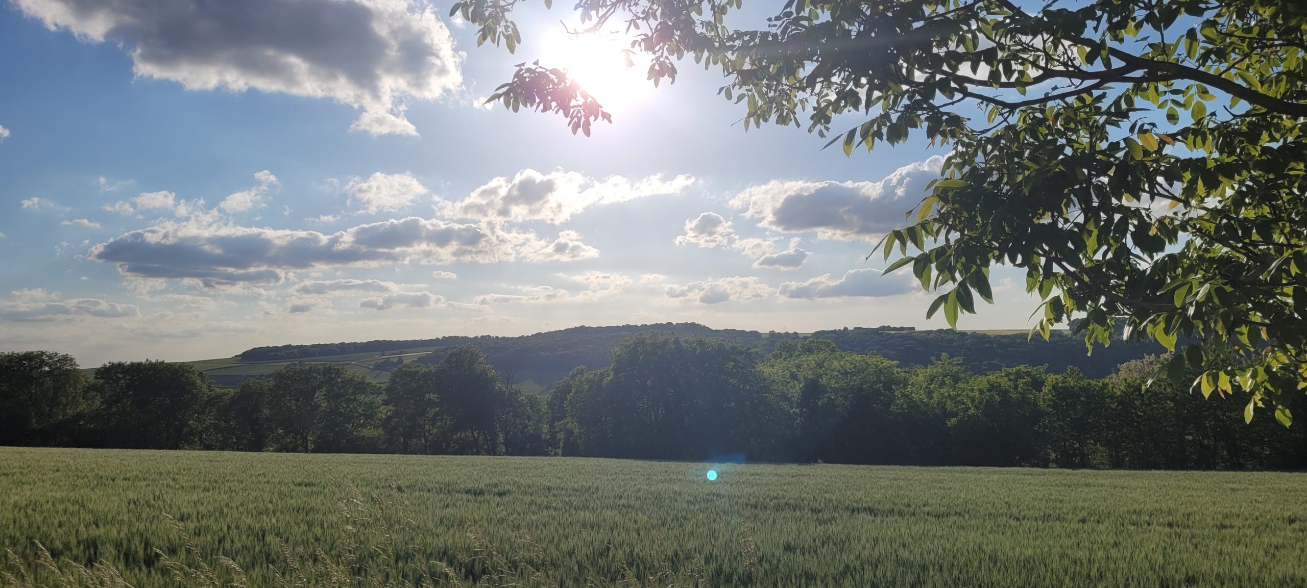 french countryside evening sun