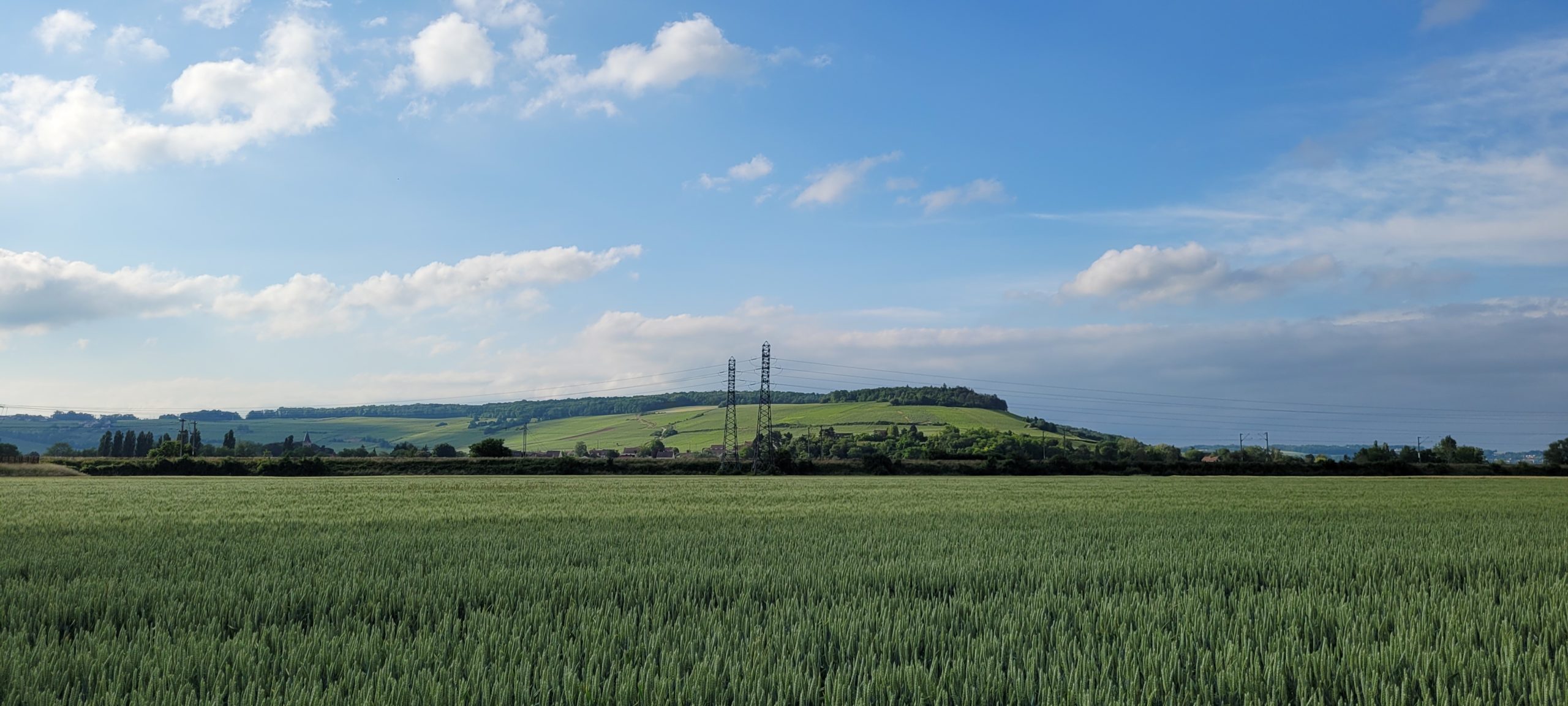 farm field with hill and power lines in the background under a blue sky with white clouds