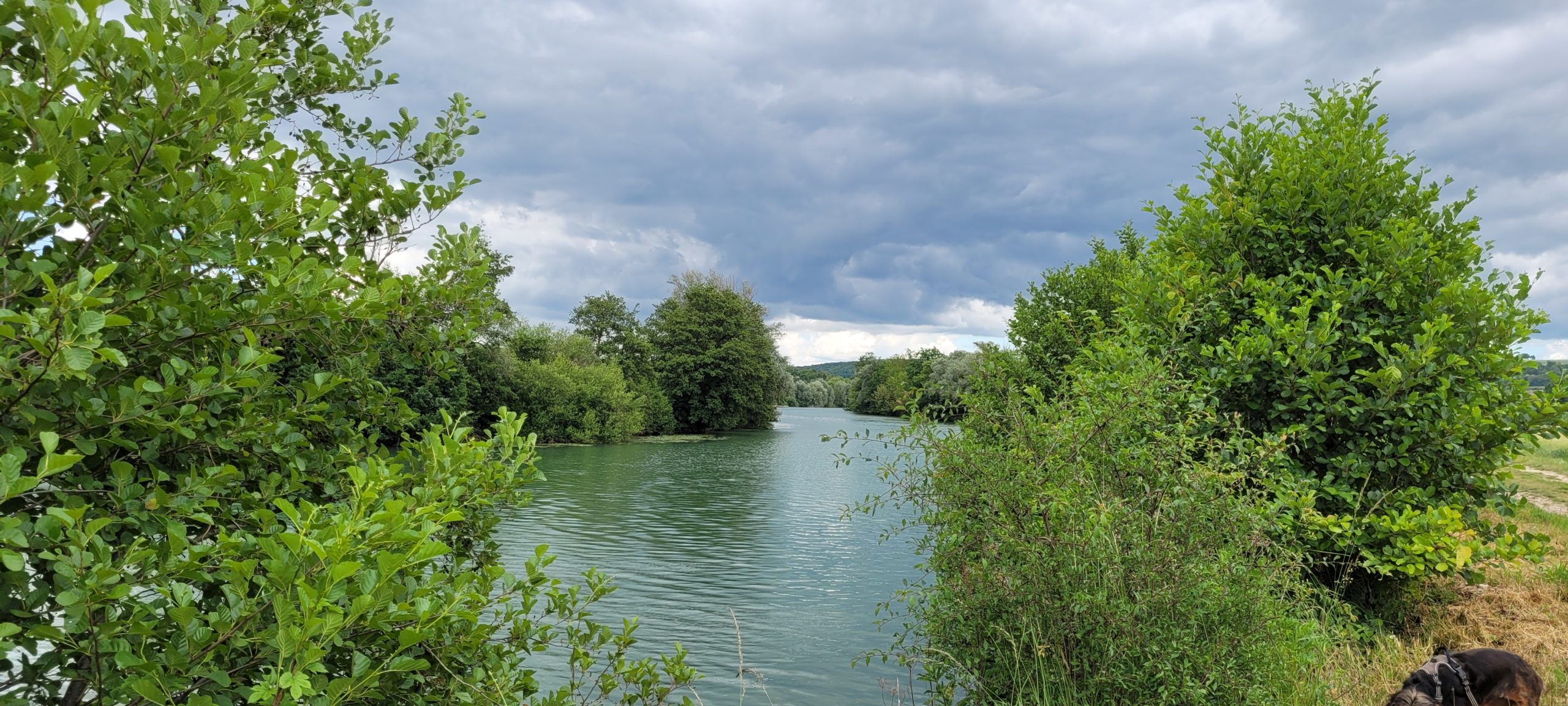 cloudy sky over a river lined with green trees