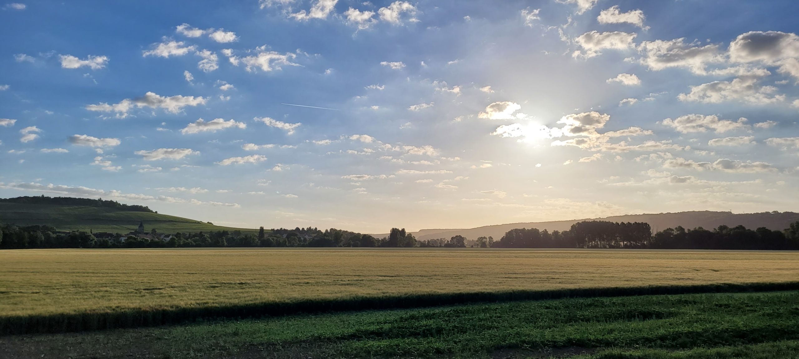 sunrise obver farmland