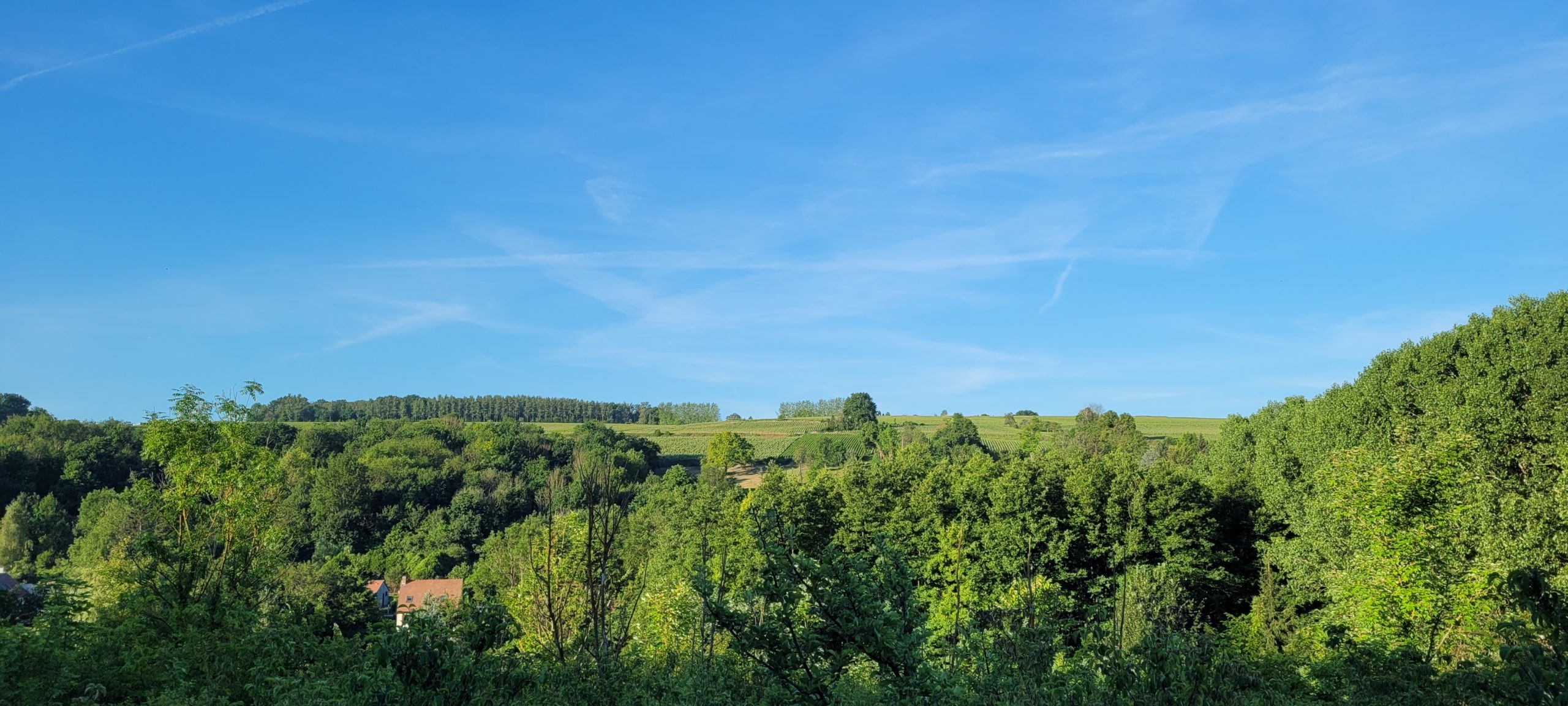 blue sky over green hills