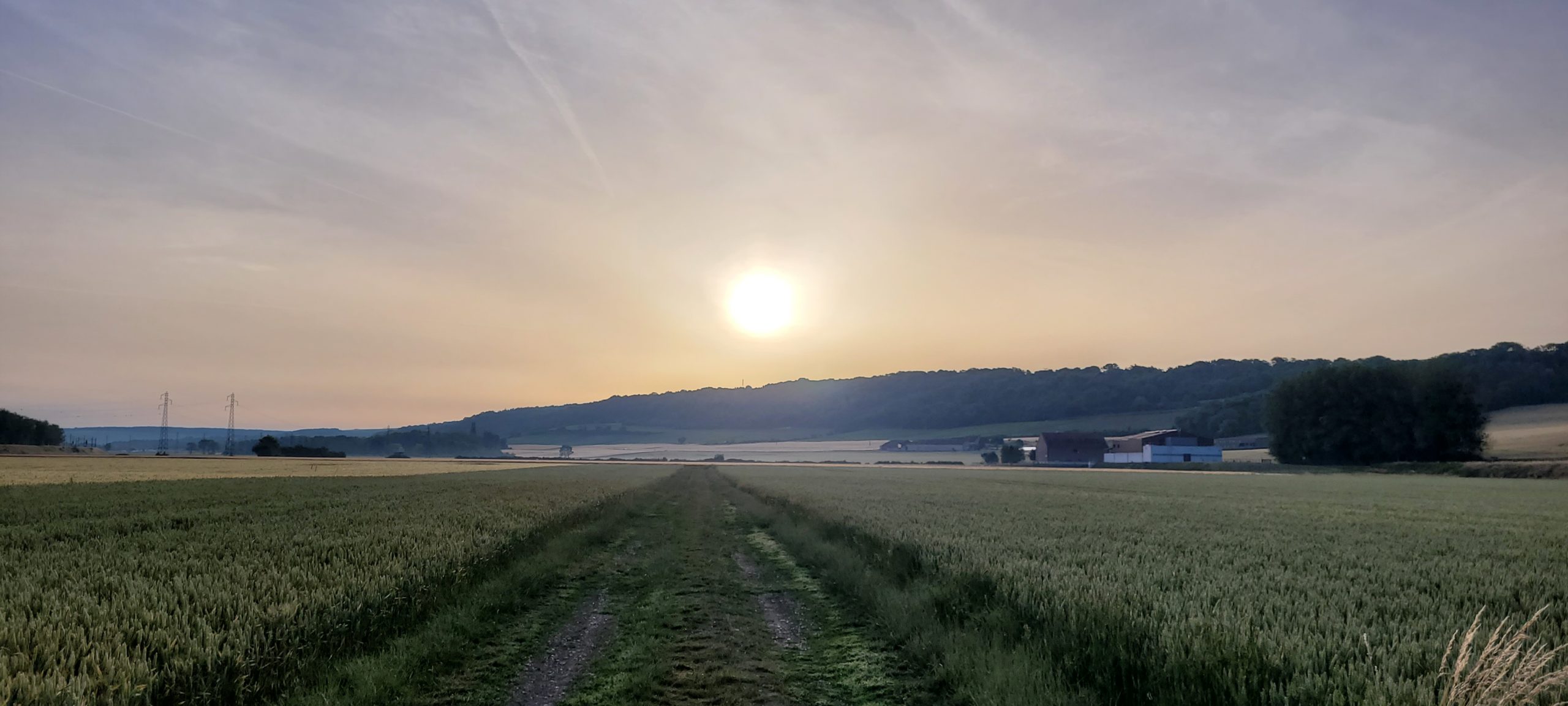 sunrise over farmland