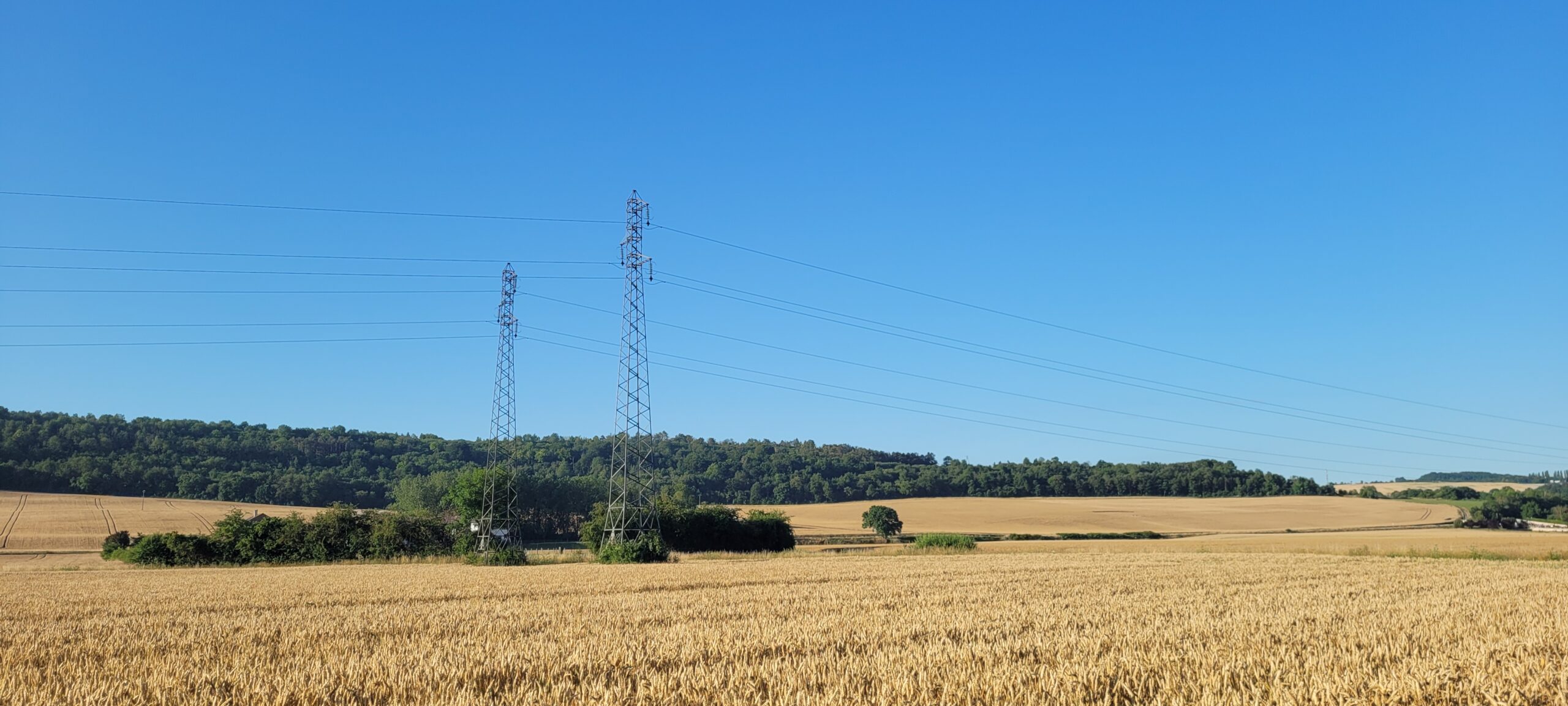 field of wheat with 2 power line towers in the middle, blue sky above