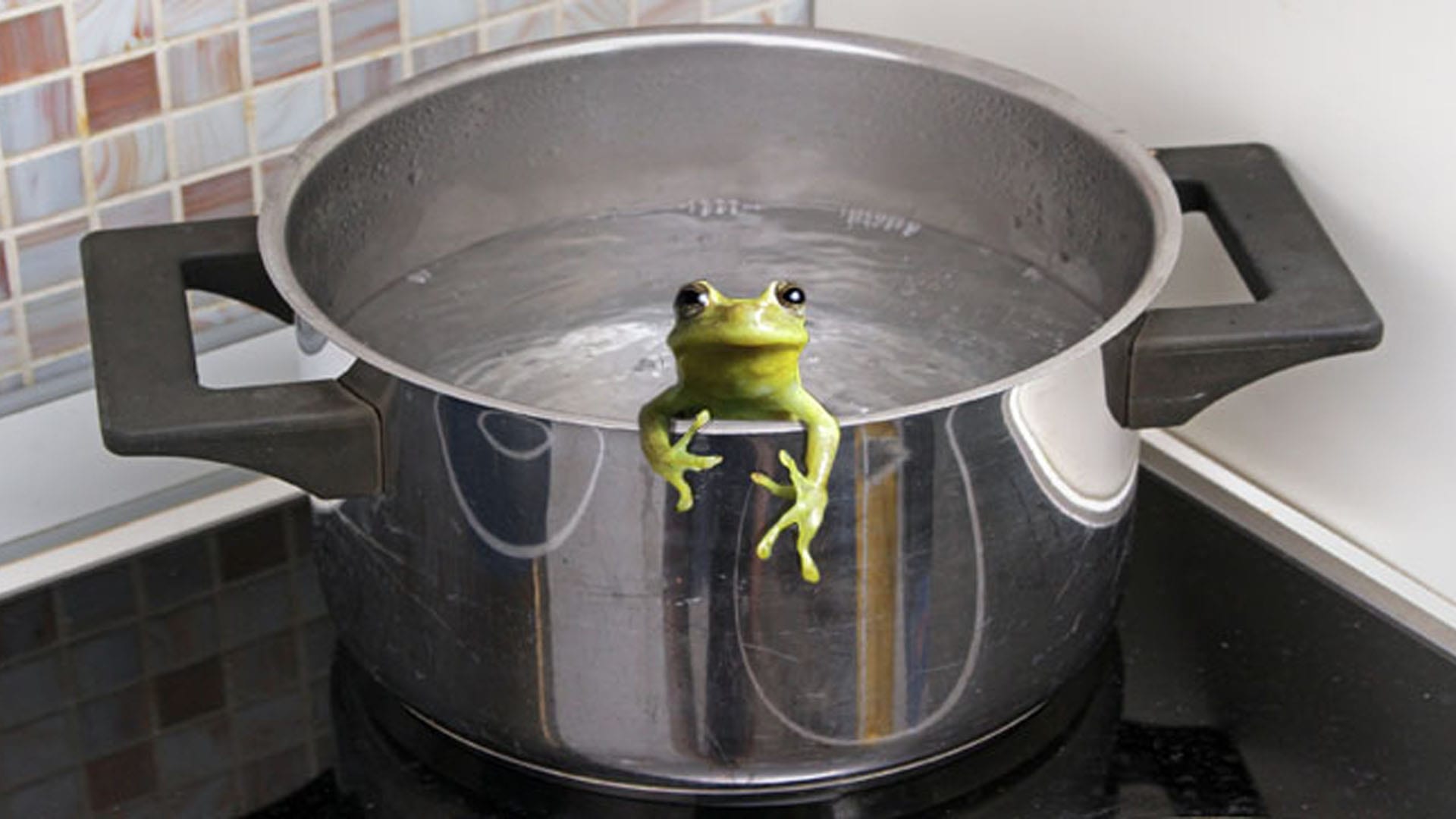 a small green frog hanging out of a pot on a stove