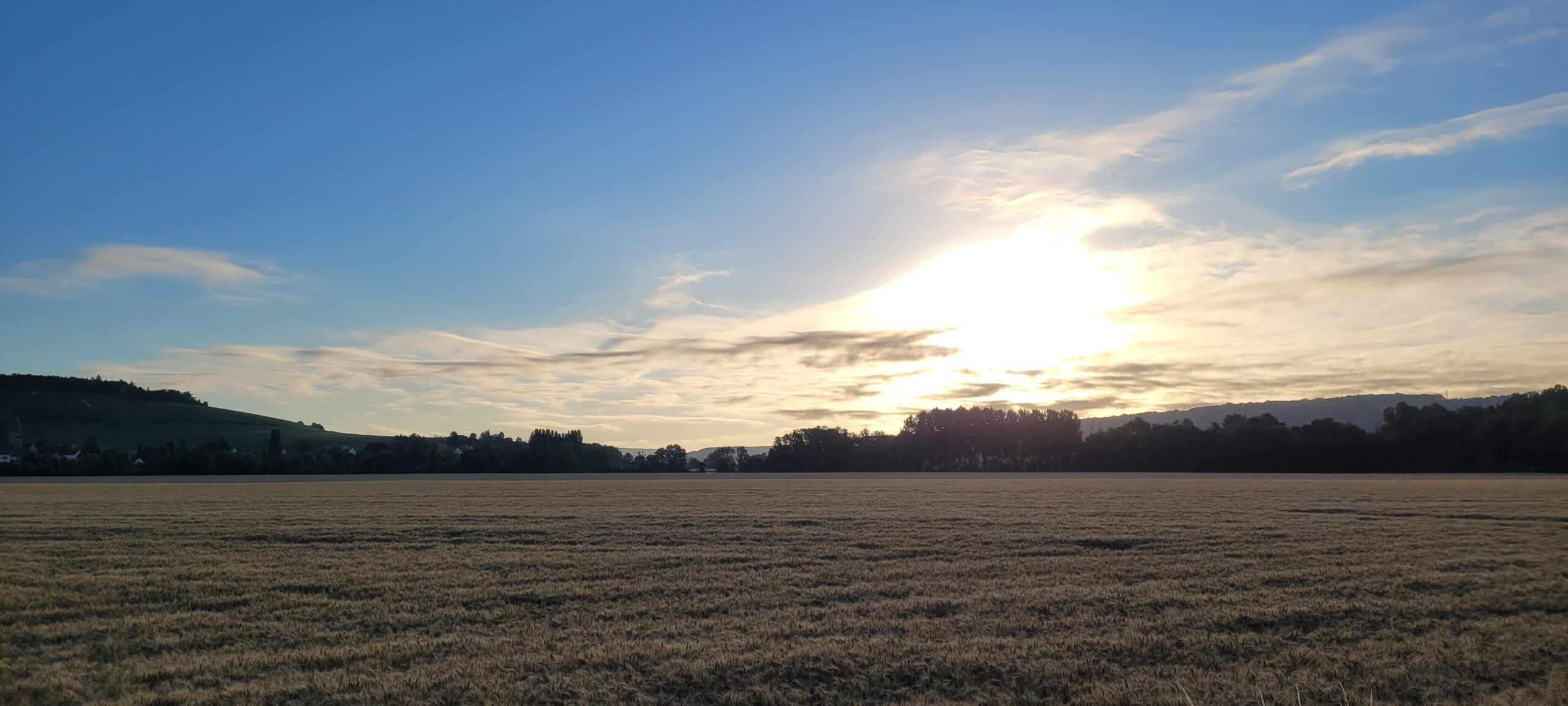 sunrise behind thin clouds over a wheat field