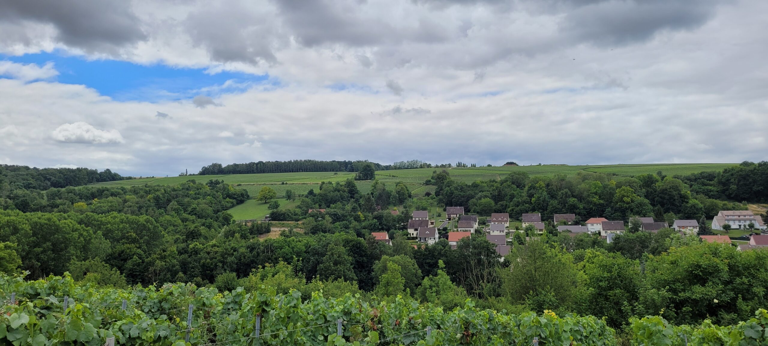 white fluffy clouds over green vineyards and countryside