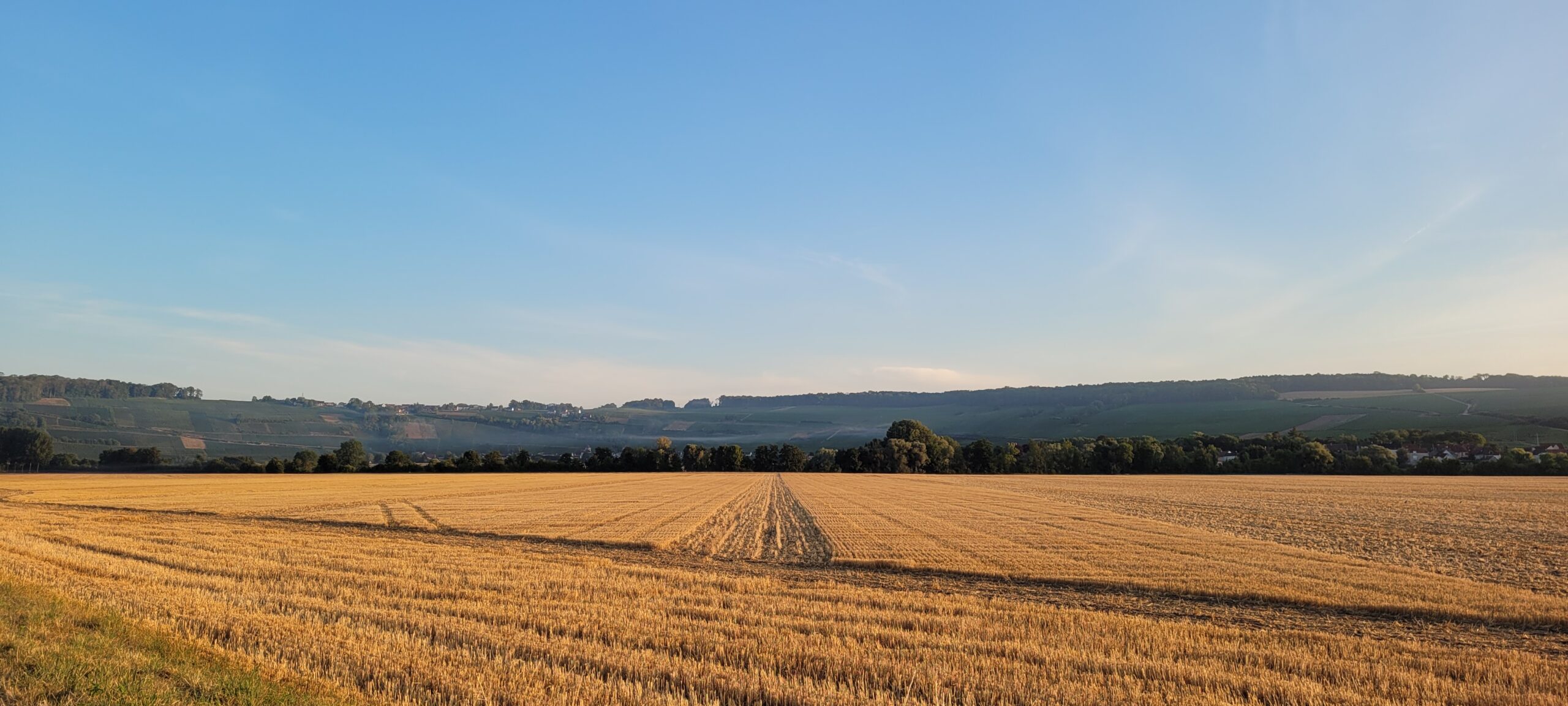 a harvested wheat field with tractor tracks in it