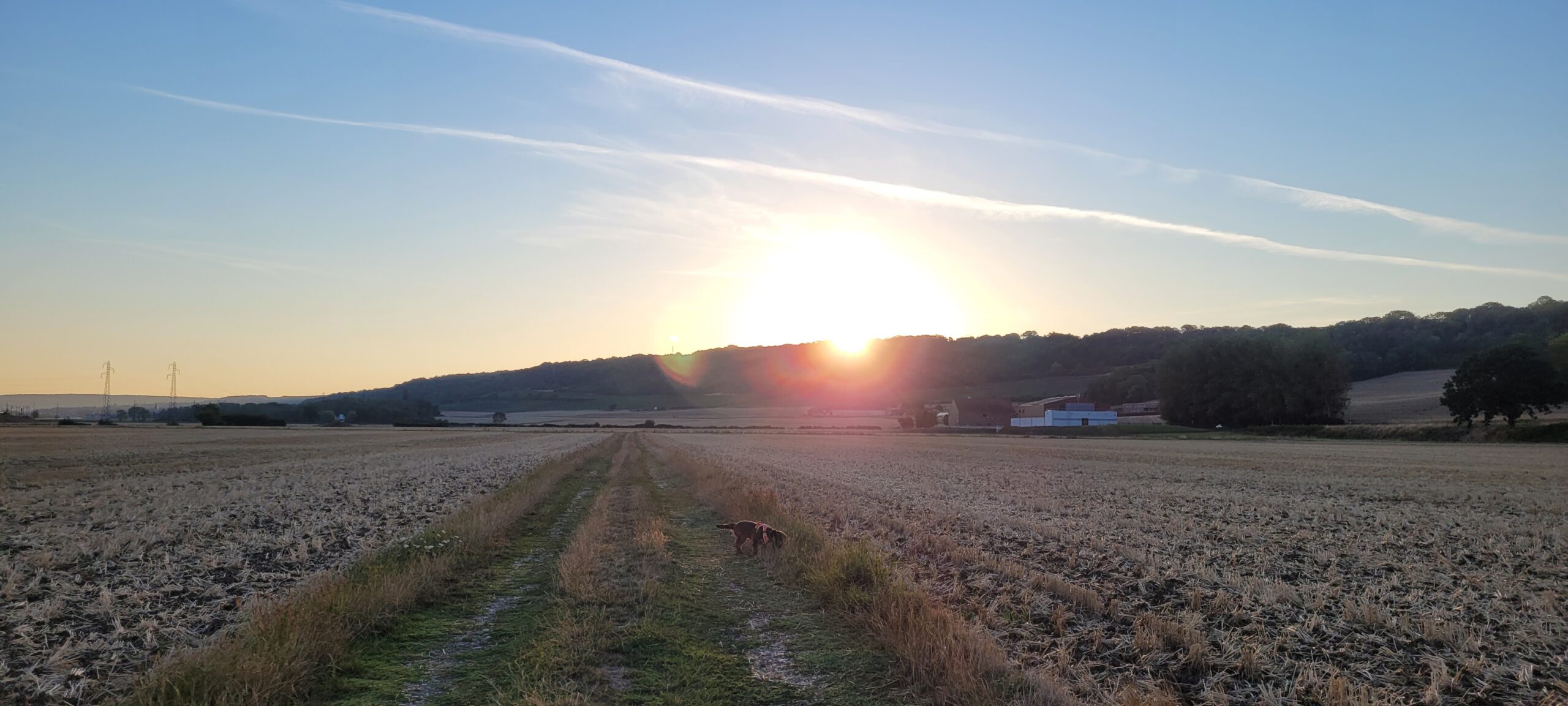 sunrise over farm fields