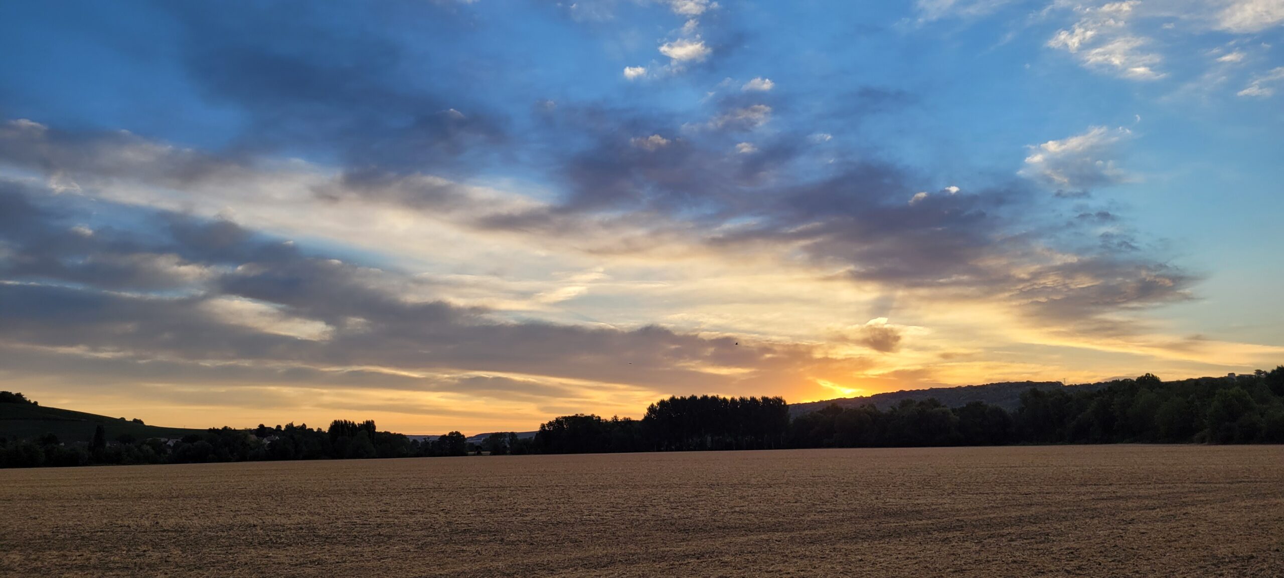 vibrant blue and yellow in a sky just before sunrise