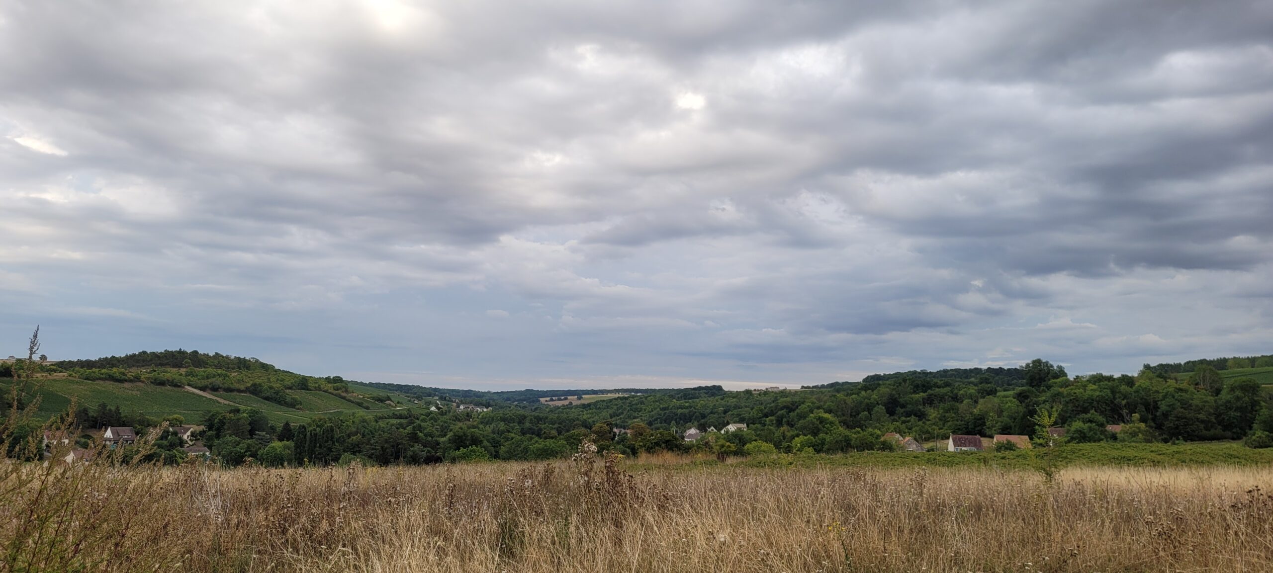 cloudy sky over green and yellow countryside