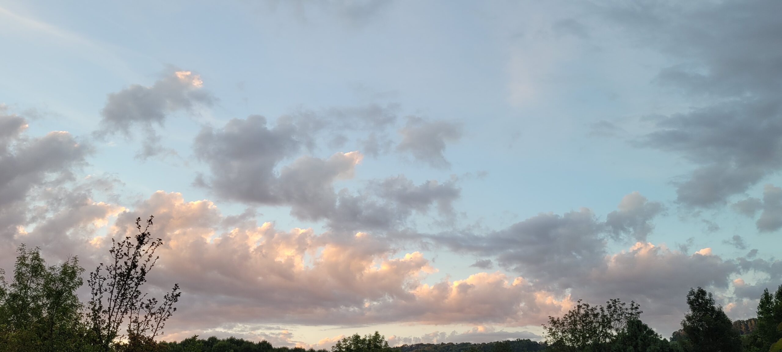 pastel pinks and blues int he sky and clouds at sunrise