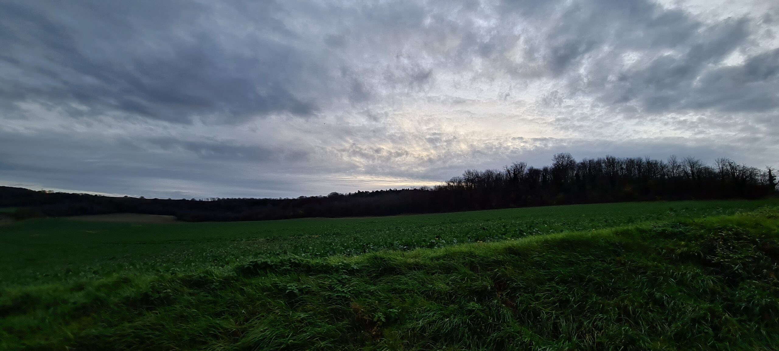 cloudy sky over green farm fields